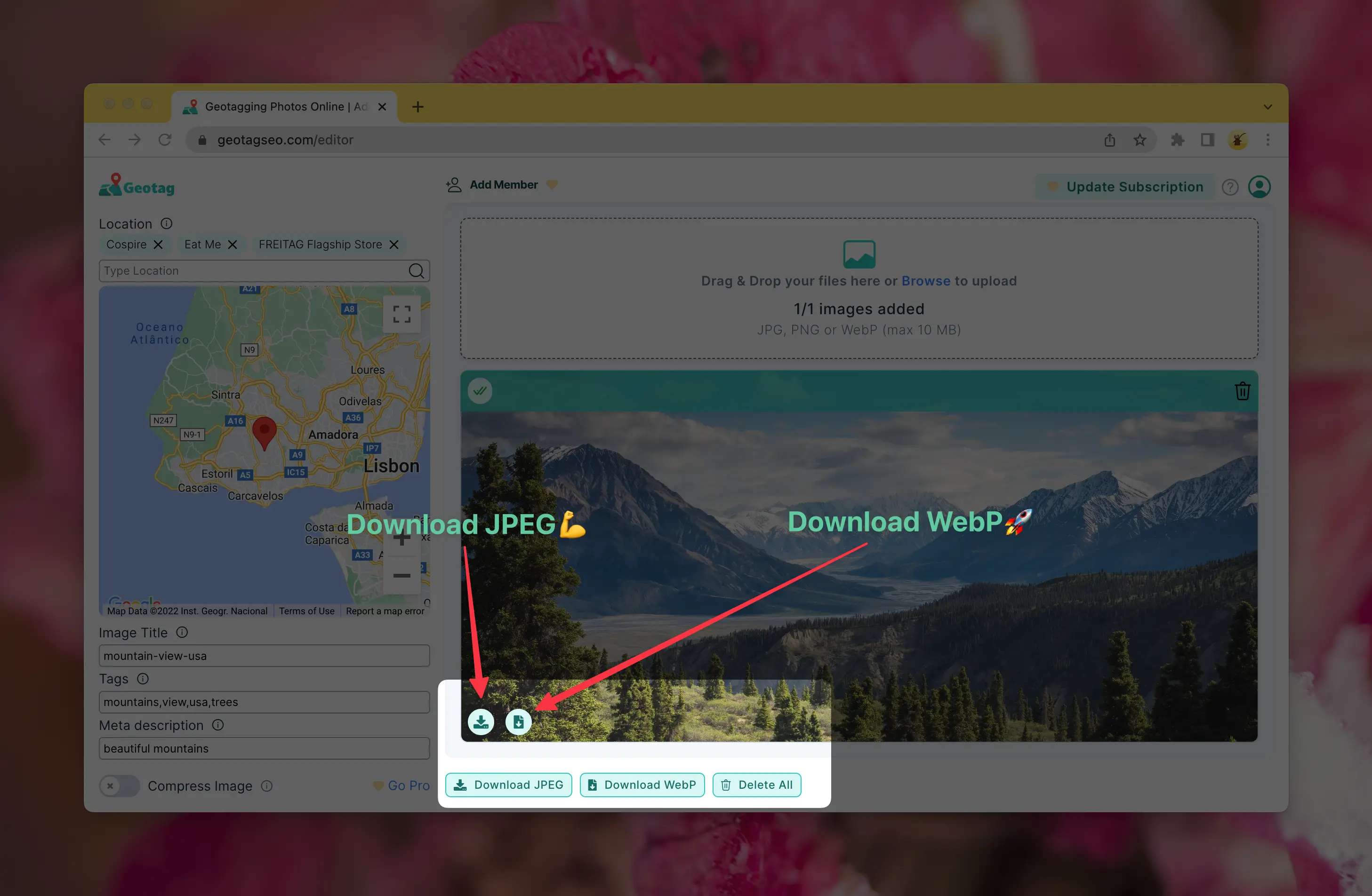 Step 4 Screenshot Add Image to Google Earth